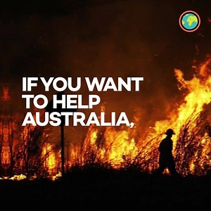 15 reactions | All Ecosia searches made on Thursday will plant trees in Australia.   Install Ecosia as your default search engine and let’s make a difference together. | Ecosia | Facebook