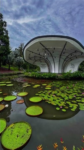 Singapore Botanic Gardens 🇸🇬 #garden #travel #explore #botany #map