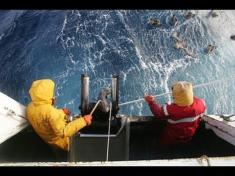 Reportage : L'or bleu des Kerguelen
