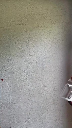 160K views · 10K reactions | #floridaman and #floridawoman vs #python #onlyinflorida #omgitswicks #florida #reels #whatintheflorida | Omgitswicks | Facebook