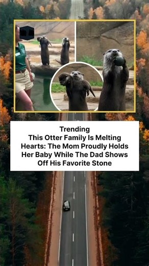 The Cutest Otter Family You’ll See Today ❤️