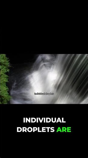 Why 1/250th Shutter Speed is a LIE for Emotion!