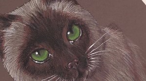 6.6K views · 58 reactions | Learn how to draw and paint a cat with...