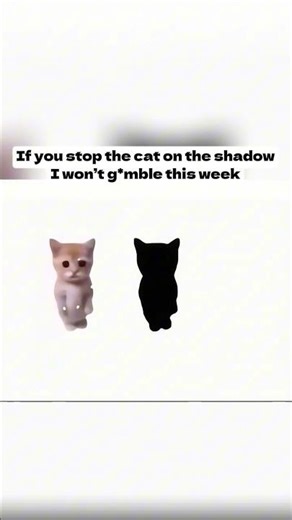 Help me 🙏😂 #memes #funny