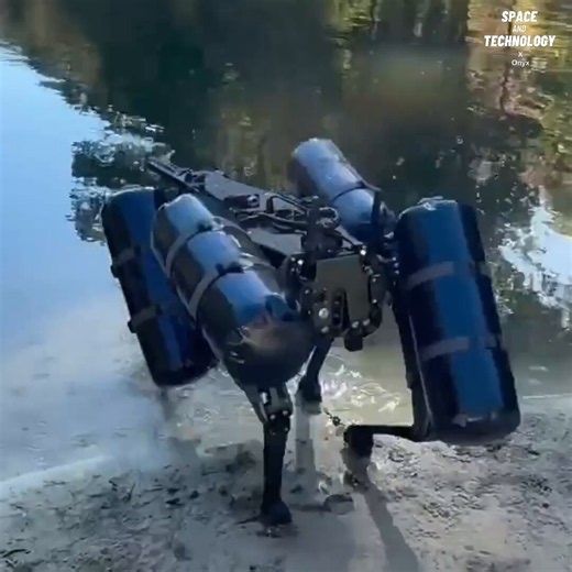 A robotic system developed by US-based defence technology company Onyx Industries can travel both on land and across water. It combines the Naut mobility platform with the Sentry defence system on the Ghost Robotics V60 robot. The robot is designed for surveillance, protection, and intelligence missions.
