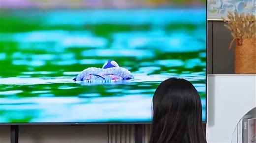 TCL电视Q9M性价比高，画质清晰适合家庭观影，智能系统流畅，遥控操作方便，日常追剧看电影都很满足。