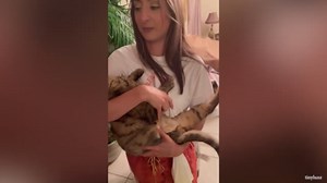 Animal reunions caught on camera that will brighten your day