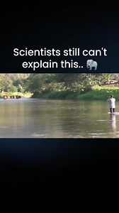 2.8M views · 78K reactions | Imagine leaving your elephants for 14 months due to an emergency, not knowing if they’d even remember you. | 3 6 5 | Facebook