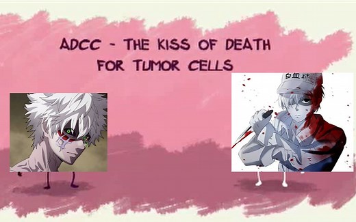 抗体依赖的细胞介导的细胞毒性作用——肿瘤细胞的死亡之吻