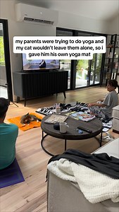 919K views · 44K reactions | is cat yoga a thing? it should be a thing #catsofinstagram #cutecat #cat #funnycat #smartcat | The Loki Show | Facebook