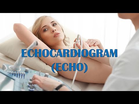Echocardiogram (Echo) - Types, Indications, Patient Preparation, Procedure, Risks & Complications