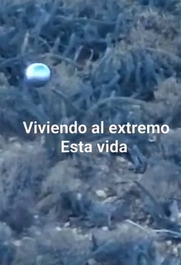 🛸 The UFO spheres come out of this crack in the hill 👽🛸 Location: San Quintín, Baja California, Mexico Date: July 2026 Look at this… they are coming straight out of the mountain crack with bright white light! A sighting that raises many questions. #Sighting #UFO #unexplained #extraterestrial #Ovni