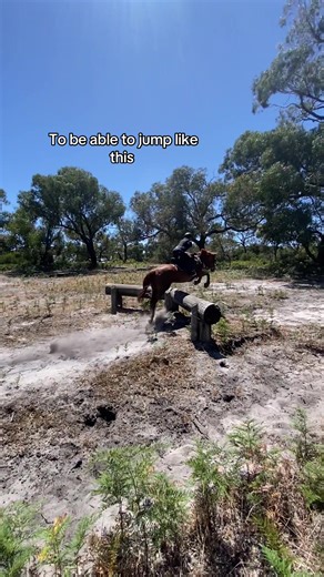 Mastering Show Jumping Techniques for Big Horses