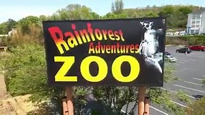 Rainforest Adventures Discovery Zoo in Sevierville, TN has a great variety of animals and exhibits for everyone!! 🐍🐒🐢🐑🦜🦙 Here's a SPECIAL COUPON to USE for your VISIT! https://smokymountainsbrochures.com/coupons/rainforest-adventures-discovery-zoo/ | Best Read Guide Smoky Mountains