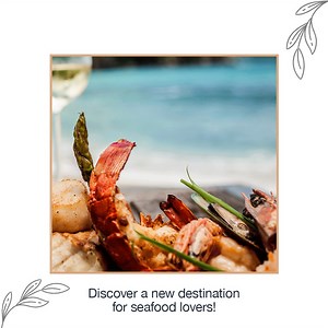 📍 Next stop Bodrum! This summer you can taste the exquisite seafood cuisine of Barbarossa Restaurant while enjoying panoramic views of the Aegean Sea at Caresse, a Luxury Collection Resort in Bodrum. Don’t miss the experience! #Barbarossa #Barbarossarestaurant #Paros #bodrum #seafood #caressehotel | Barbarossa paros