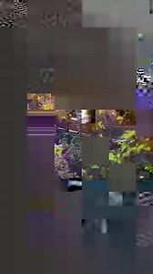 7K views · 300 reactions | Experience the Whale Trail at 6 locations along the Highway 1 Discovery Route. Overlook the waters of one of our nation’s most spectacular marine protected areas while viewing orcas, other cetaceans, and marine mammals from shore. Whale Trail: Highway1DiscoveryRoute.com/whale-trail | California Highway 1 Road Trip | Facebook