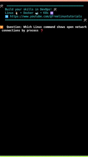 🐧 Linux command to show network connection by process