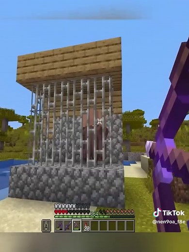 Das reichste Dorf in Minecraft entdecken