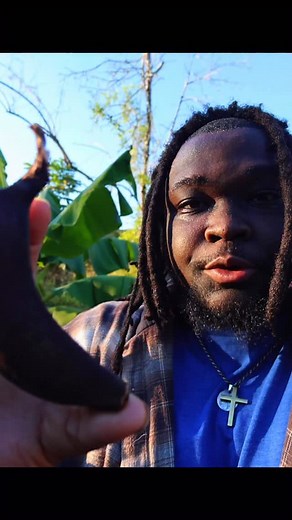 261K views · 8.6K reactions | The Banana Humans Replaced | Shawn Grows | Facebook