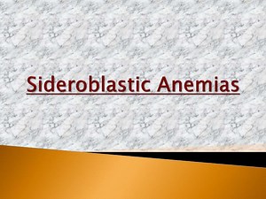 Sideroblastic Anemias - SlideServe