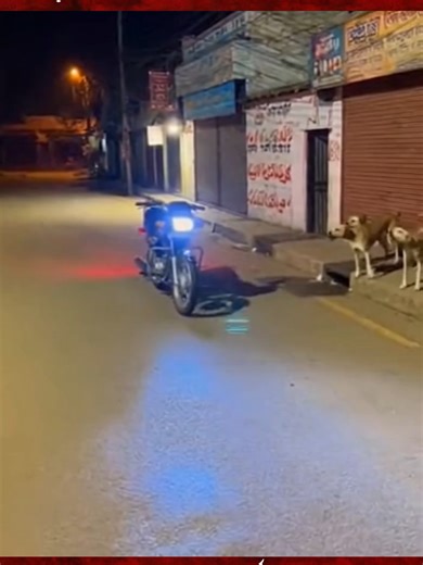 Terrifying Moments on a Normal Bike Ride