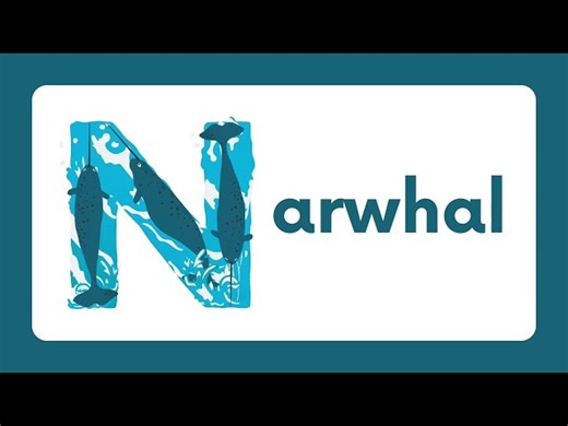 Animal Flashcards - Name That Animal & Spell Their Names