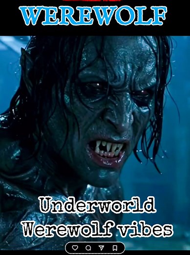 Exploring the Werewolf Transformation in the Underworld