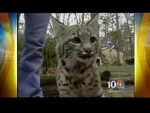 WCAU-TV 11pm News, December 10, 2008