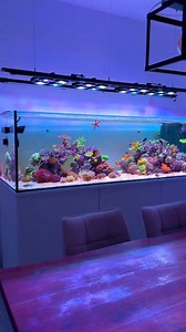 6.8K views · 82 reactions | How would you rate this reef setup from 1 to 10? I would give 10 Learn more:https://www.hygger-online.com/ vid by @cakis_reef | Hygger Aquarium | Facebook