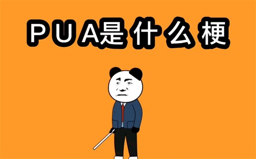 网络上的Pua是什么梗？