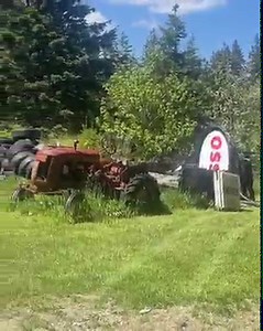 We hit a honey hole with these vintage gas signs 🔥 | Bad Chad