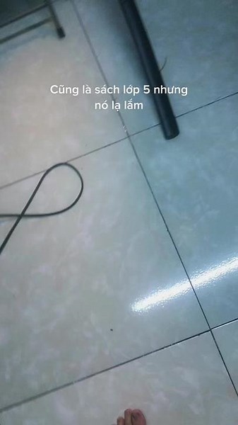 Exploring Classroom Textbooks for Fifth Graders