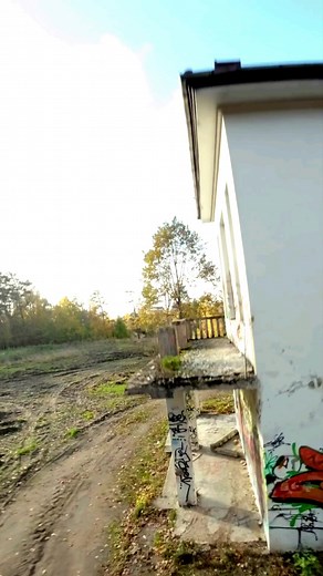 Point of view i prefer the most! #autumn #speed #fpv #drone