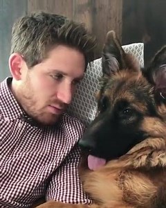 57 reactions | German Shepherd and owner kiss back and forth Credit : Germanshepherd 24 | German Shepherd Guide | Facebook