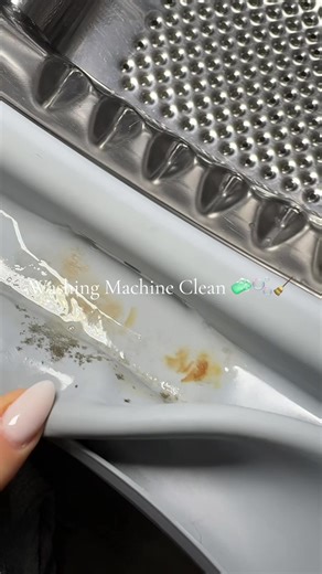 Spring Cleaning: Your Essential Guide to Refreshing Spaces