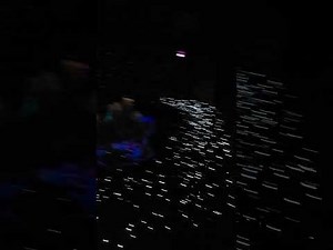 Peter Pan's Flight／ピーターパン空の旅