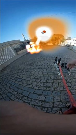 Zion First Pokémon Hunt
