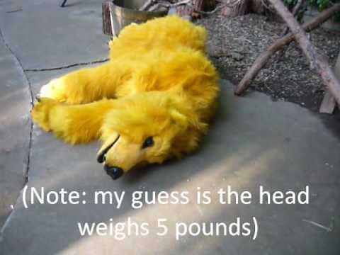 Golden Bear Quadsuit Bloopers - Must be 18 or older to order
