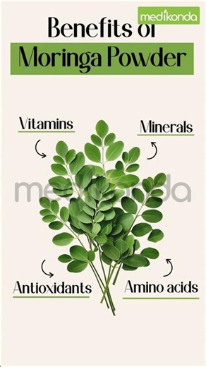 Moringa Leaf Powder Benefits You Should Know