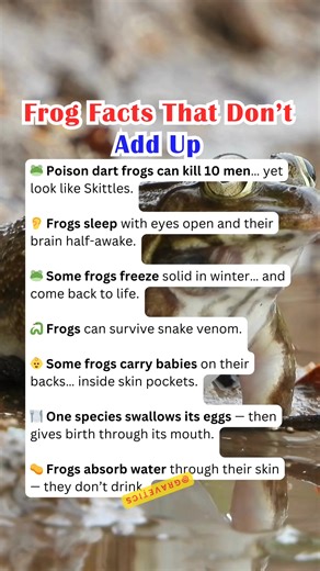 Frog Facts That Don’t Add Up 🐸🤯 #FrogFacts #NatureIsWild #AnimalSecrets #WeirdBiology #MindBlown #highlights #highlights2025 #highlightsシ゚ | Gravetics
