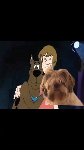 Scooby-Doo y Los 13 Fantasmas - Cap 1 ❤️🐾👻