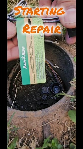 Saved $1000! DIY Rain Bird Controller Repair#diy
