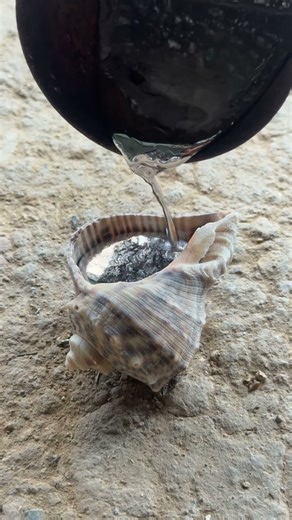 Snail shell cast! 🐌🔥 #shorts #viralvideo #reels #restoration