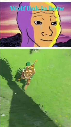 Wolf link in botw vs wolf link in totk #tearsofthekingdom #breathofthewild #zelda #ytshorts