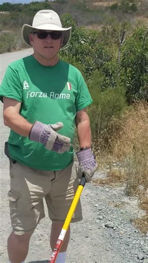 How to safely relocate a rattlesnake #rattlesnakes #pestcontrol