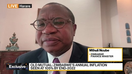 Zimbabwe’s Economic Outlook (Video)