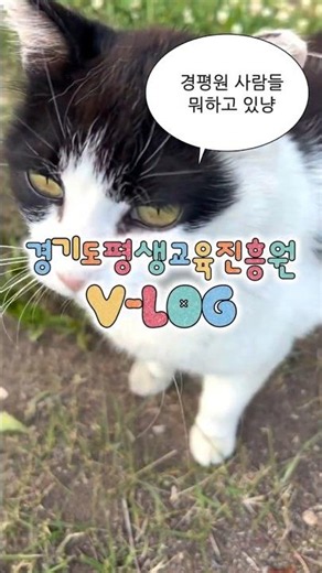 경기도 공공기관 직원 브이로그🤗 경평원 사람들은 어떤 하루를 보낼까요?