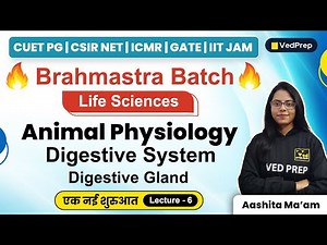 Animal Physiology | Life Sciences | CUET PG | CSIR NET | GATE | IIT JAM | VedPrep Biology Academy