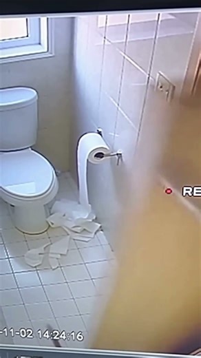 Bathroom Disaster: Cat vs Toilet Paper 😹 | Security Cam