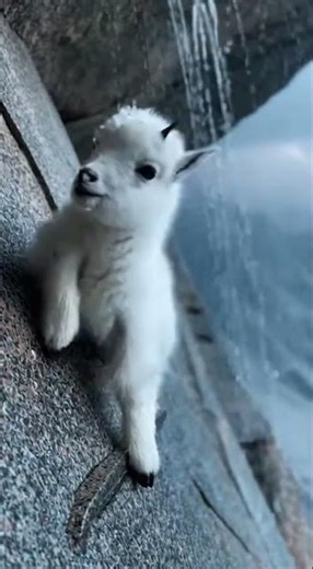 A Young Mountain Goat's Battle Against an Alpine Storm 🌨️🦌 | Epic Wildlife Survival #aiart #animals